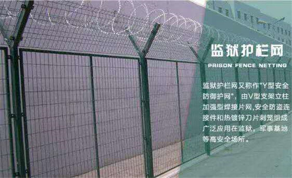 �O(ji��n)�z�o(h��)�ھW(w��ng)